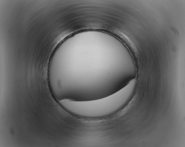 X0000116831081200912312030