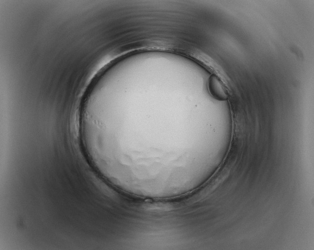 X0000116831083200912312030