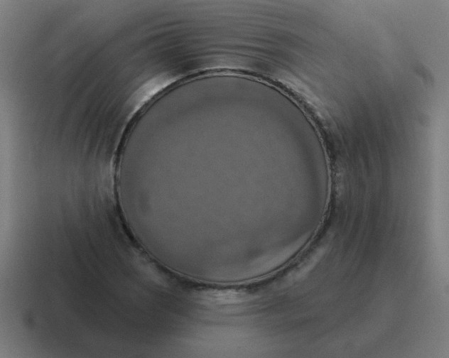 X0000116831121200912312030