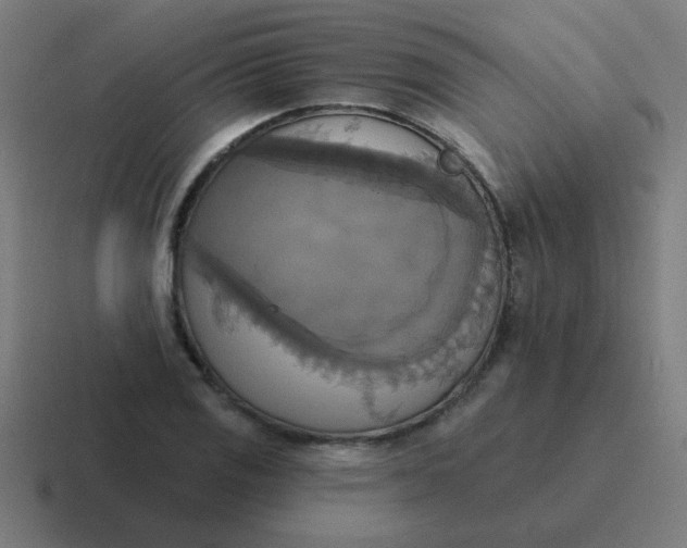 X0000116831125200912312030