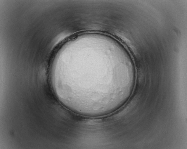 X0000116831163200912312029