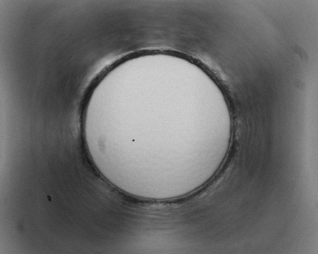 X0000116831167200912312029