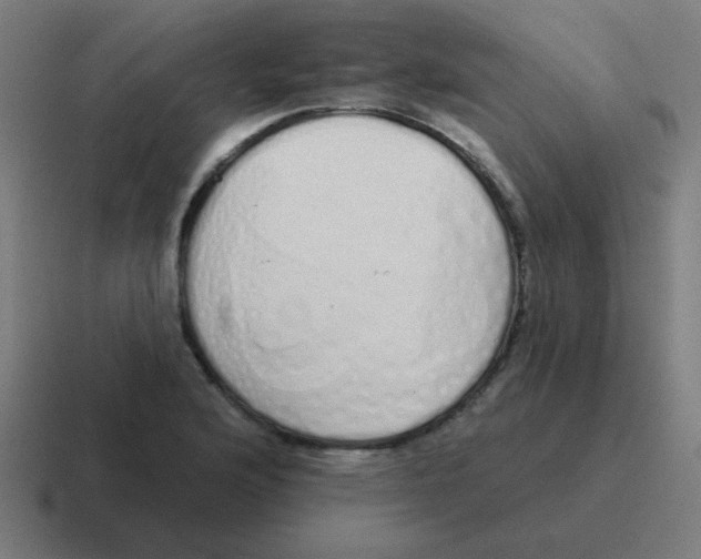X0000116831176200912312029