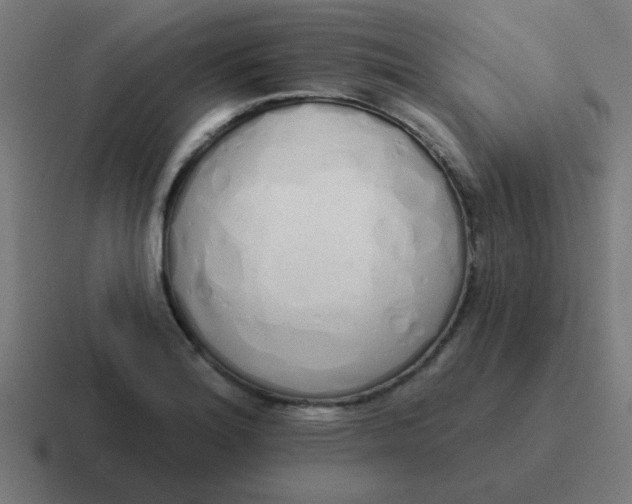 X0000116831180200912312029