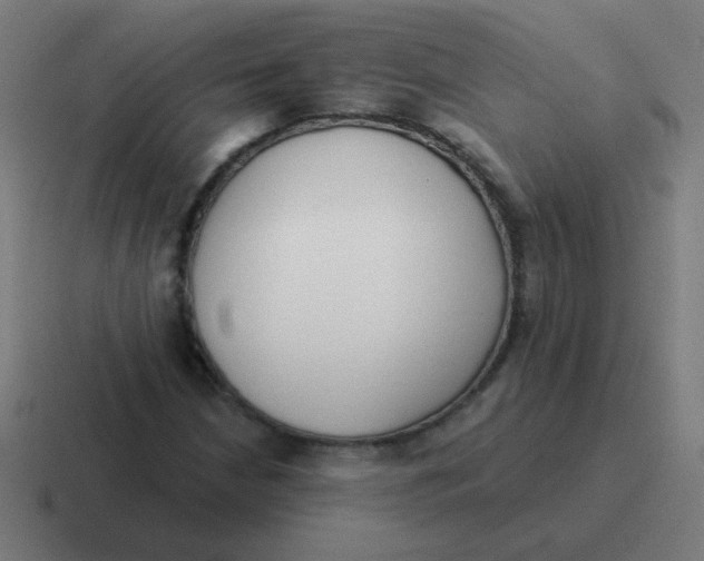 X0000116831210200912312028