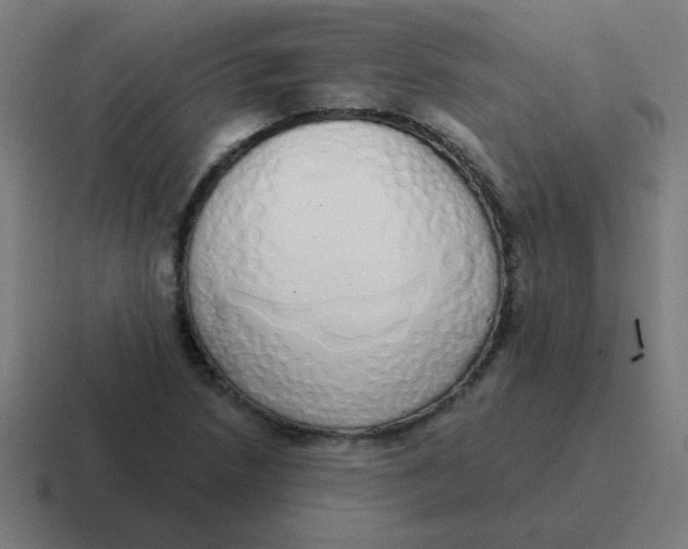 X0000116831218200912312028