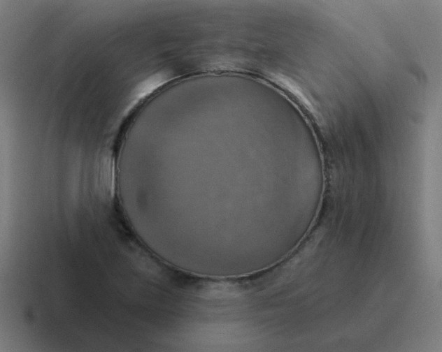 X0000116831219200912312028