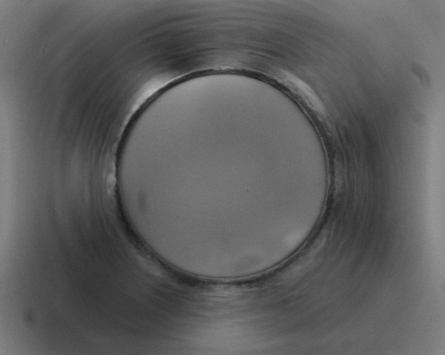 X0000116831226200912312028