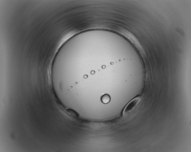 X0000116831242200912312029
