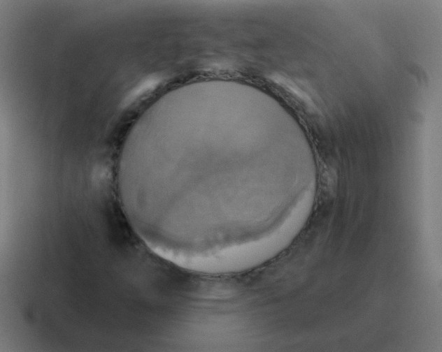 X0000116831254200912312028