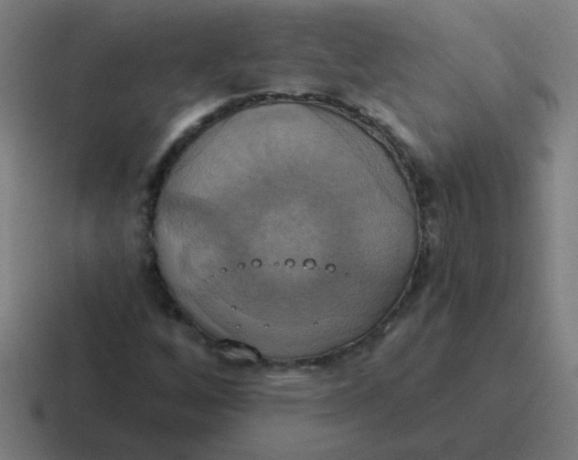 X0000116831256200912312028