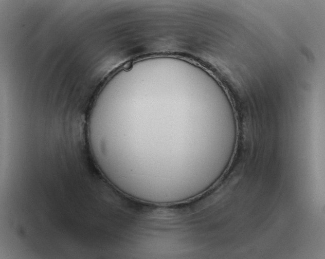 X0000116831265200912312028