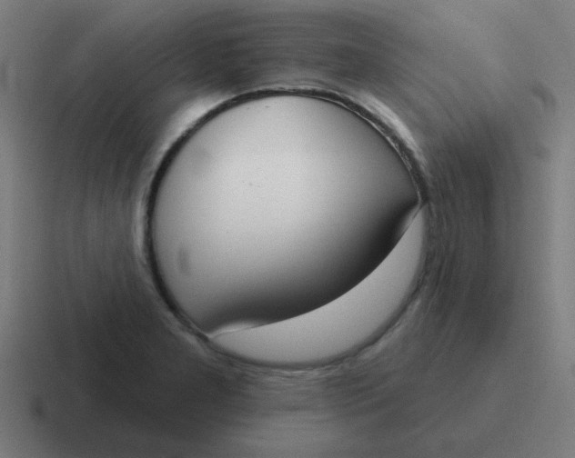 X0000116831277200912312028