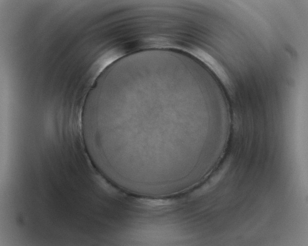 X0000116831289200912312028