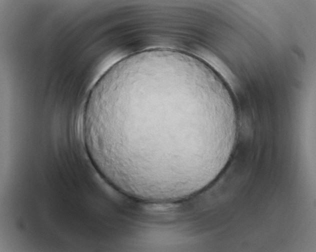 X0000116831290200912312028