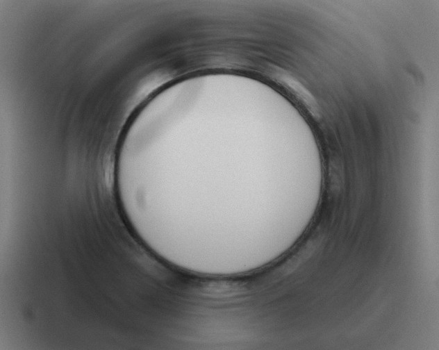 X0000116831322200912312027
