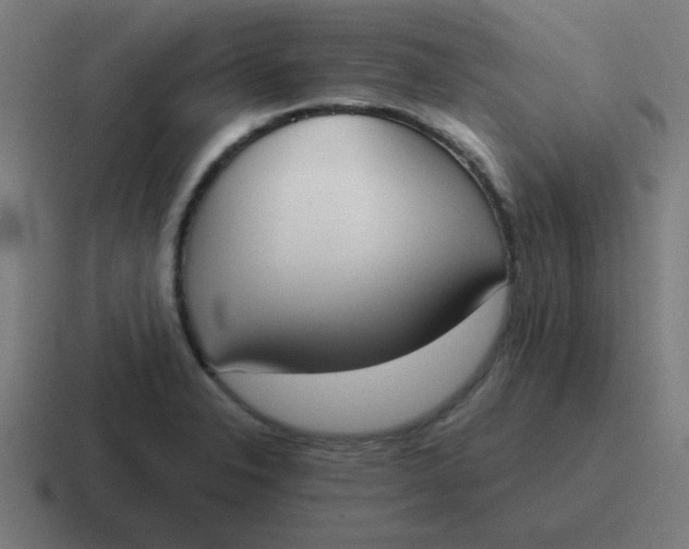 X0000116831326200912312027