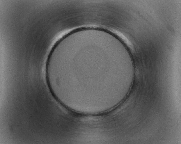 X0000116831327200912312027