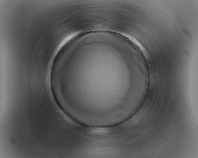 X0000116831333200912312027