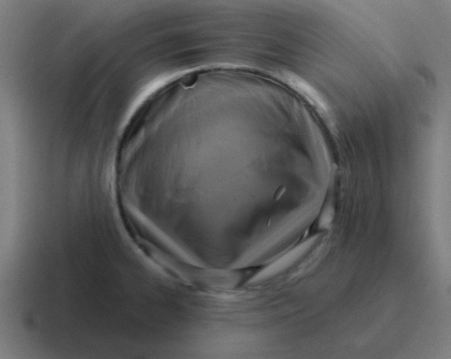 X0000116831334200912312027