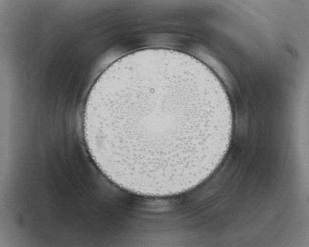 X0000116831338200912312027
