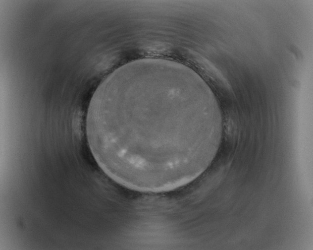 X0000116831346200912312027
