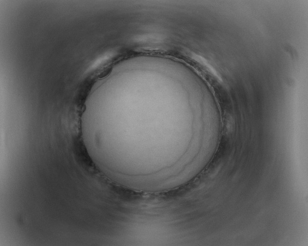 X0000116831350200912312027