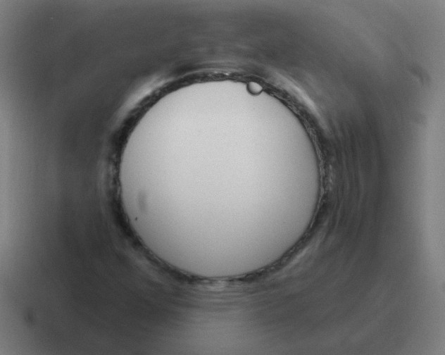 X0000116831352200912312027