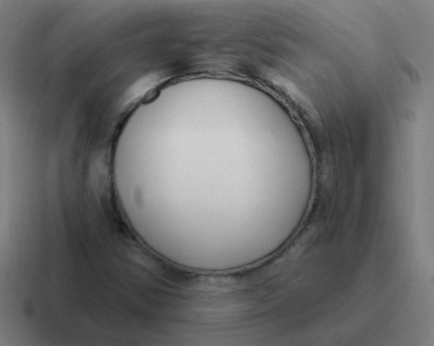 X0000116831354200912312027