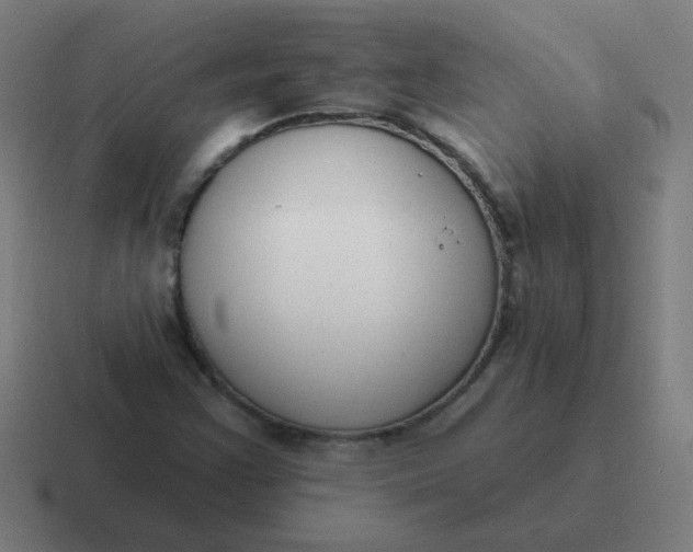X0000116831355200912312027