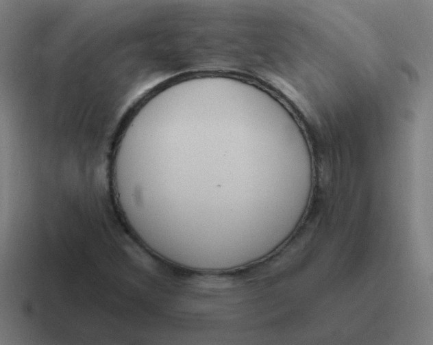 X0000116831356200912312027