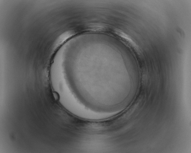 X0000116831362200912312027