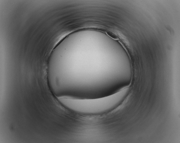 X0000116831369200912312027