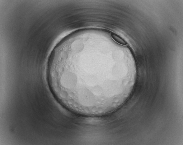 X0000116831379200912312026