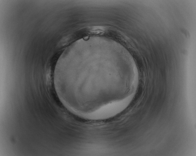 X0000116831394200912312026