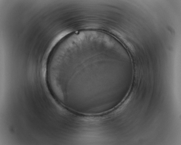 X0000116831418200912312026