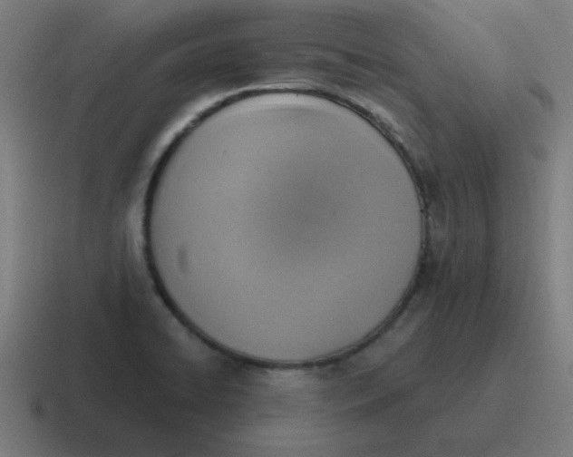 X0000116831422200912312026