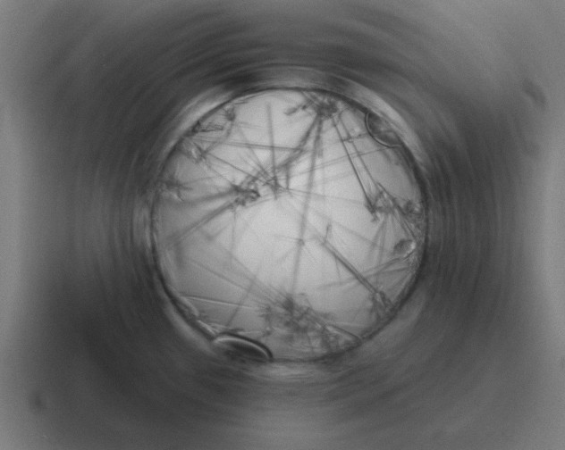 X0000116831433200912312026