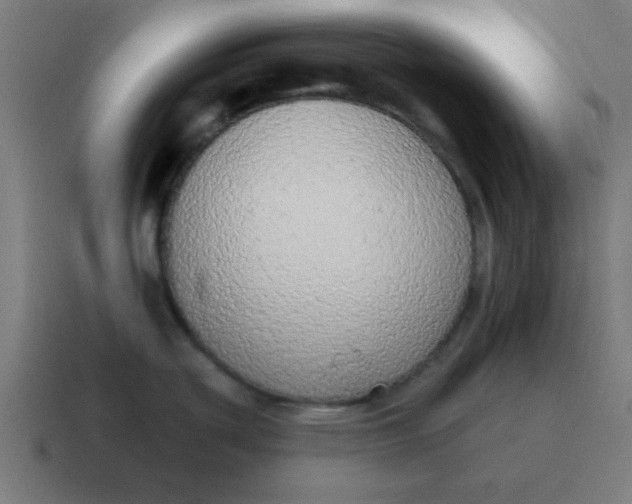 X0000116831439200912312026