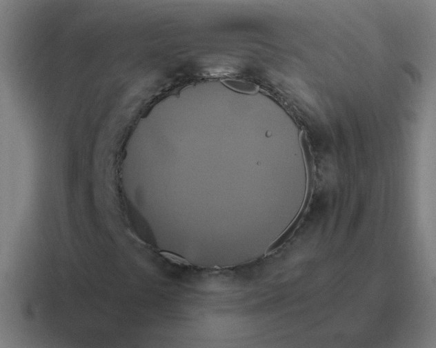 X0000116831441200912312026