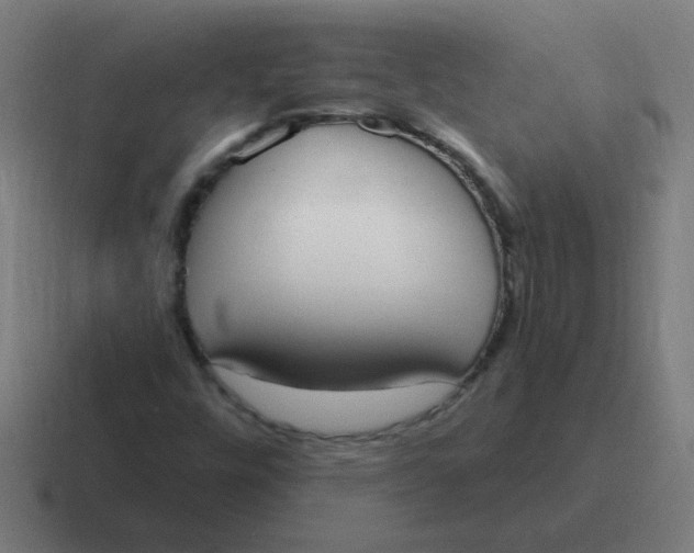 X0000116831448200912312026