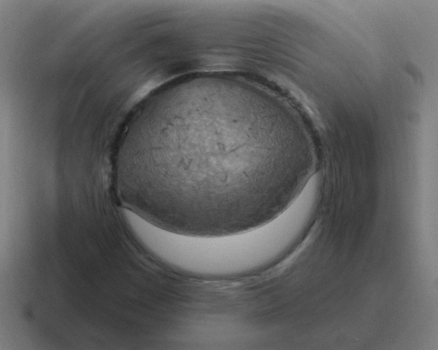 X0000116831449200912312026