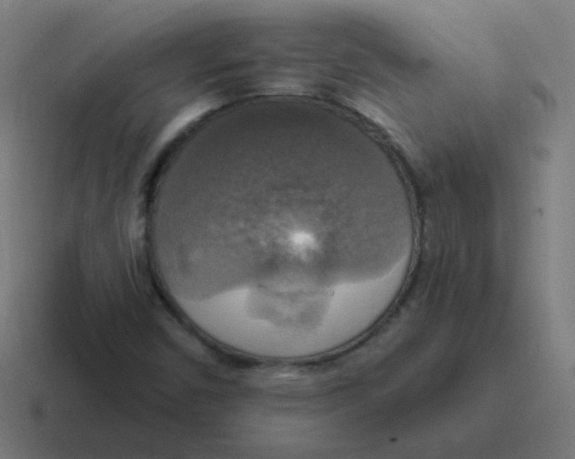 X0000116831450200912312026