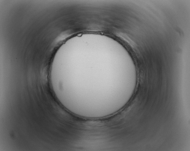 X0000116831451200912312026