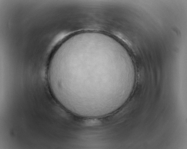 X0000116831454200912312026