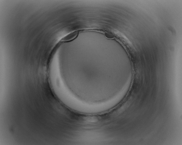 X0000116831457200912312026