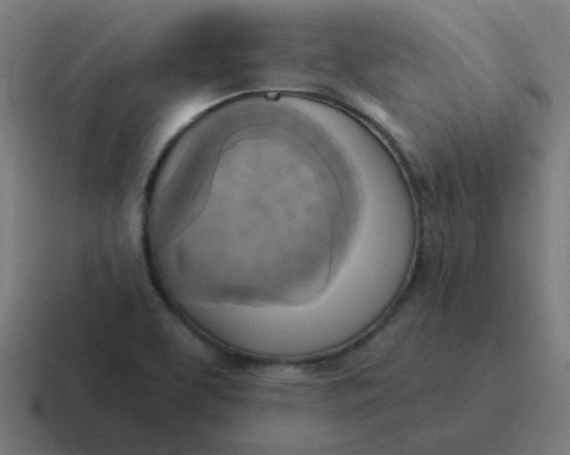 X0000116831463200912312025