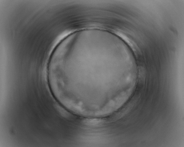 X0000116831474200912312025