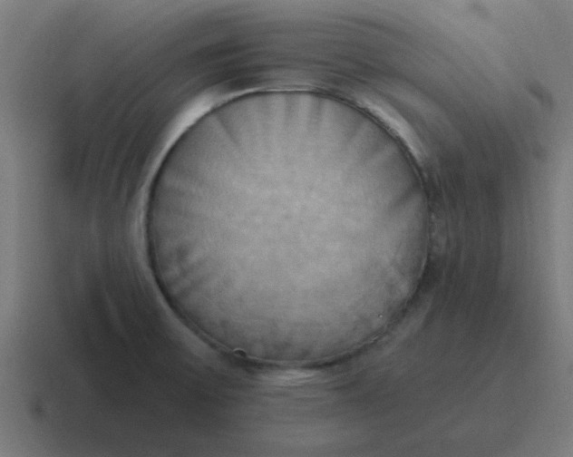 X0000116831475200912312025