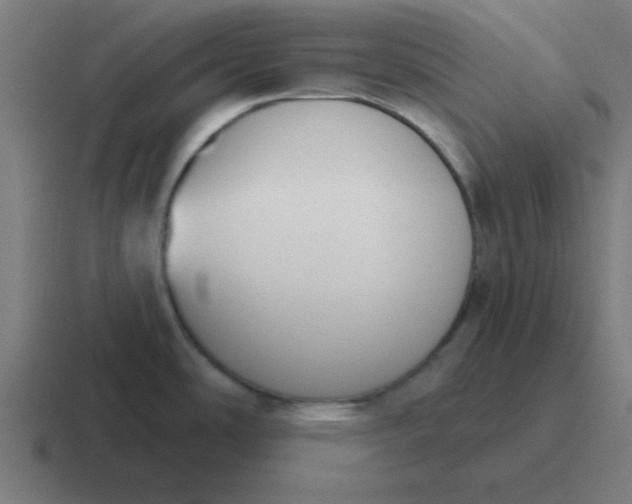 X0000116831486200912312025